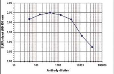 ELISA: Histone H3 [ac Lys56] Antibody [NBP2-59214]